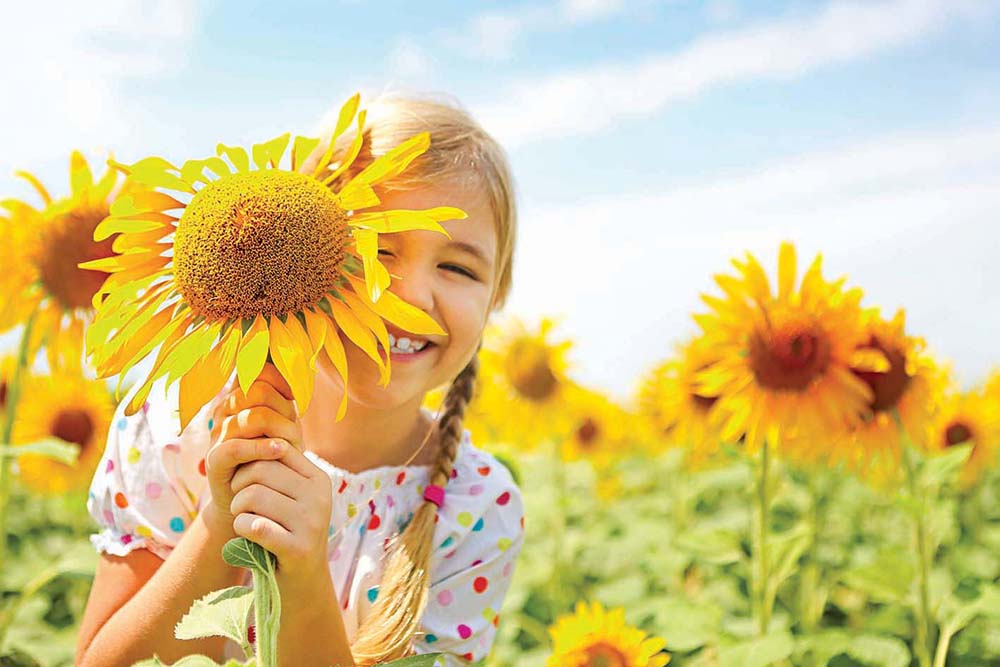 Photo of girl holding a sunflower
